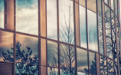 Window Film vs Window Tinting