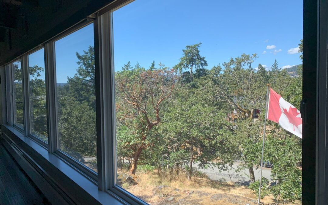 Window Film in Victoria, B.C.: The Complete Guide to Performance & Protection